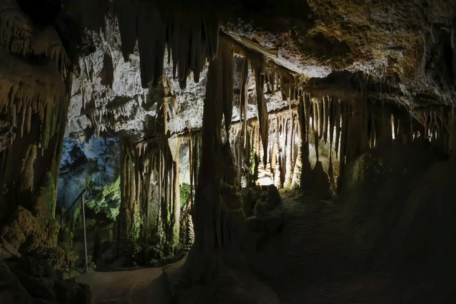 tmp visitan las cuevas de Génova tomas montes palmer 09.jpg