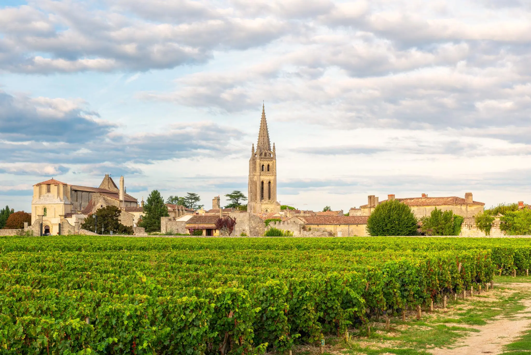 Vineyards of Saint Emilion, Bordeaux, Gironde, France. Medieval church in old town and rows of vine on a grape field. Wine indus