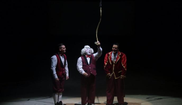 Palma discreto uh circo alegria fotos: pilar pellicer