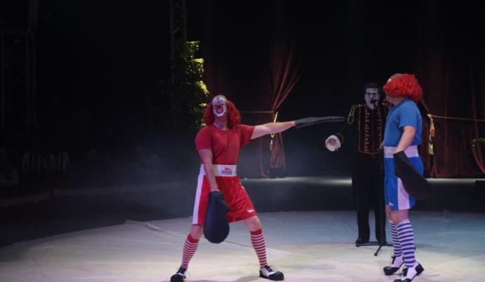 Palma discreto uh circo alegria fotos: pilar pellicer