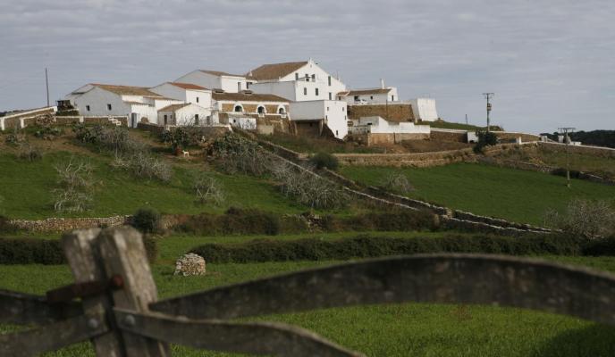 Imagen de la emblemática finca S'Aranjassa, desde el pasado octubre propiedad de Fayas y Amorós.