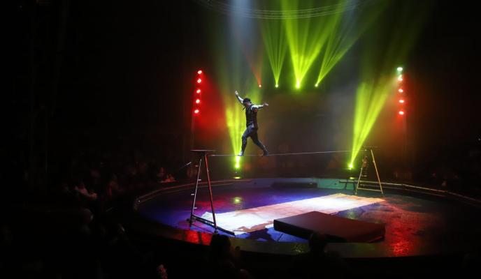 Palma circo alegria club suscriptor foto miquel a canellas