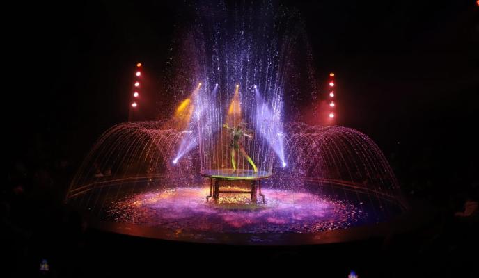 Palma circo alegria club suscriptor foto miquel a canellas