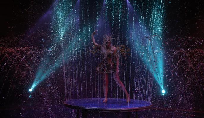 Palma circo alegria club suscriptor foto miquel a canellas