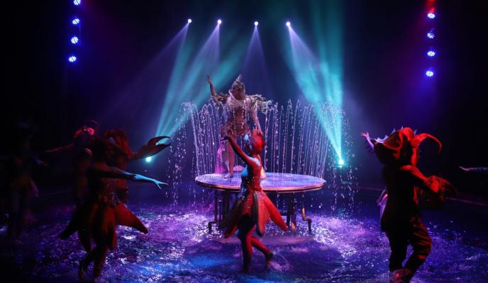 Palma circo alegria club suscriptor foto miquel a canellas