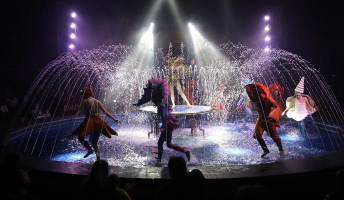 Palma circo alegria club suscriptor foto miquel a canellas