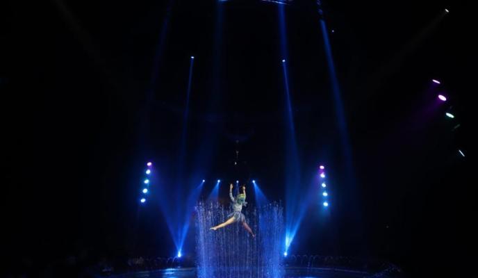 Palma circo alegria club suscriptor foto miquel a canellas