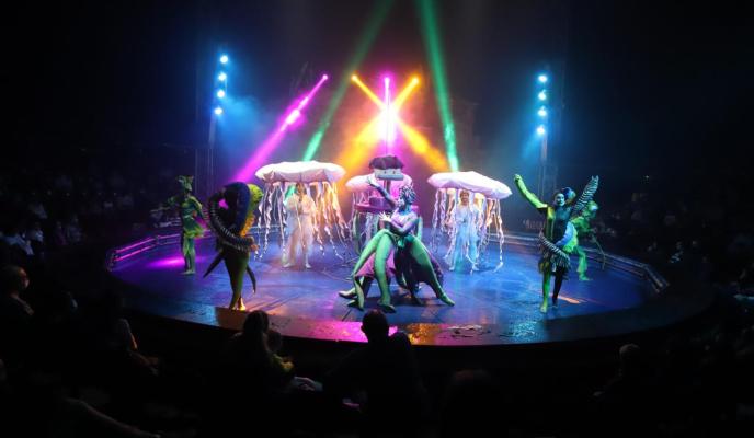 Palma circo alegria club suscriptor foto miquel a canellas