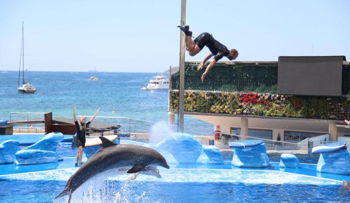 CLUB DEL SUSCRIPTOR EXCURSIÃN MARINELAND LAURA BECERRA12.jpg