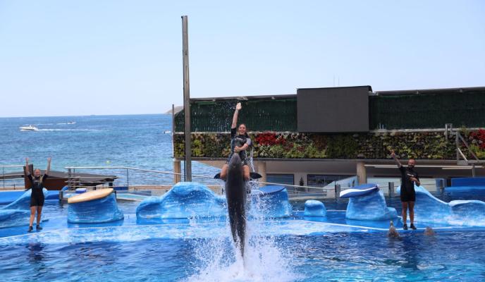 CLUB DEL SUSCRIPTOR EXCURSIÃN MARINELAND LAURA BECERRA13.jpg