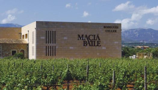Visita guiada y cata de vinos Macià Batle el próximo 17 de mayo