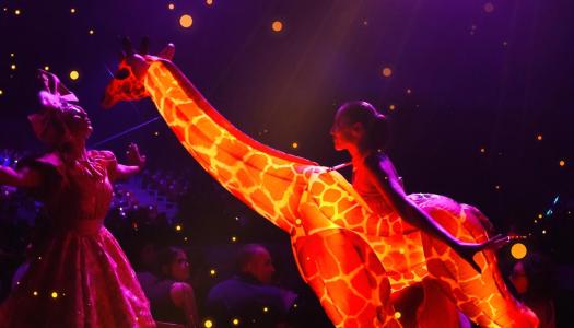 Una cita ciercense llena de luz