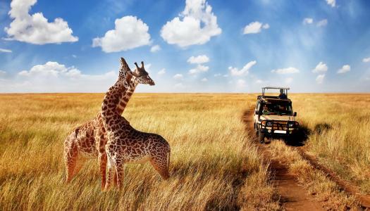 El viajes del año: Safari en Kenia