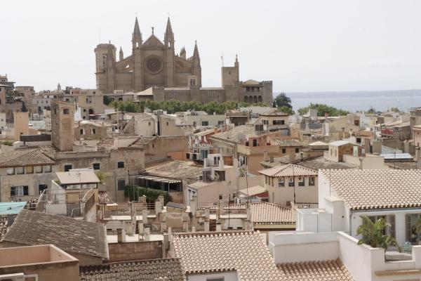 vista de palma desde sta creu