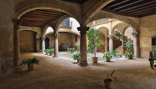 Visita guiada a Can Vivot