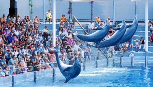 ¡Diversión familiar con tu Club!