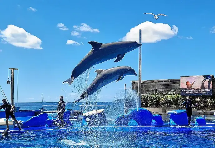 Un domingo ideal en el parque Marineland