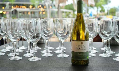Exclusiva cata de vinos y cavas