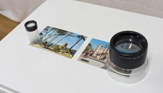 ¿Te apasiona la fotografía?