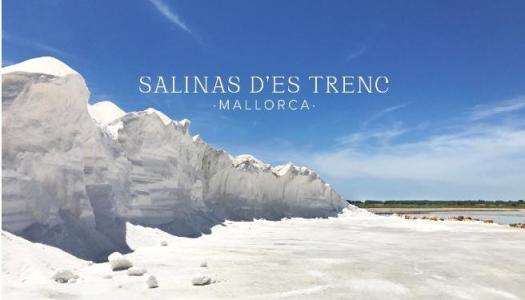 Jornada Salinera 