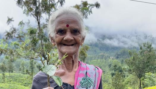 ¡Ayubowan, Sri Lanka!