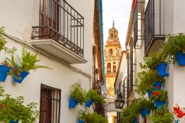 Córdoba, un paseo por sus patios